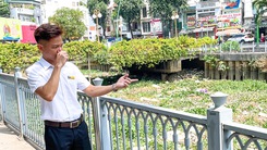 Rùa, cá thoi thóp giữa đống rác vì kênh Nhiêu Lộc - Thị Nghè 1 tháng không được dọn