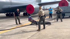 Bắt 'phi công răng cưa' đi lạc vào căn cứ không quân Mỹ