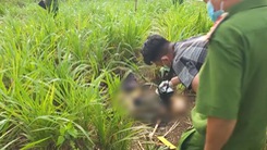 Phát hiện thi thể mất chân trái trong bụi cỏ ở Bình Phước