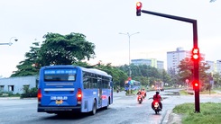 Xe buýt vượt đèn đỏ: Xác minh, đình chỉ các tài xế vi phạm ngay từ ngày 15-6