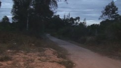 60 người trực ngăn "bò tót" vào sân bay