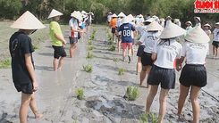 Một ngày làm nông dân của du khách Tây