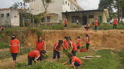 Vườn rau sạch của học sinh trường nội trú Đắk Lắk