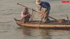 Săn cá bông lau ngày đầu năm mới