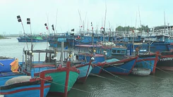 Cần giải phóng hơn 240 tàu cá bị kẹt trong cảng Đông Tác
