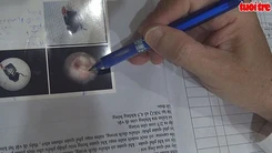 TP.HCM: Bị côn trùng chui vào miệng, bé trai suýt tử vong