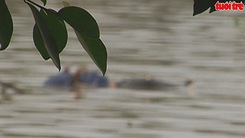 Phát hiện thi thể 2 thanh niên trôi sông Đồng Nai