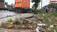 Xe container tông gãy cây xanh, tài xế rơi xuống đường tử vong