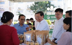 Ông Trương Minh Huy Vũ làm tổ trưởng tổ tham mưu chương trình 'Vì một Cần Giờ xanh’