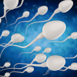 Podcast: Đàn ông toàn cầu bị giảm tinh trùng, cảnh báo khủng hoảng sinh sản