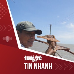 Bản tin tối 5-12: Đi ngầm đường dây điện gió trên sông Hàm Luông để tránh gây tai nạn cho tàu cá