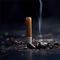 Bản tin sáng 25-7: TP.HCM tổng kết hoạt động không hút thuốc lá tại các điểm giao thông