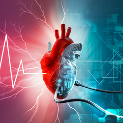 Podcast: Phát hiện gene quan trọng trong chữa lành tổn thương tim