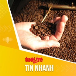 Tin tức sáng 15-10: Giá xuất khẩu cà phê Việt Nam đạt kỷ lục trong niên vụ 2022-2023