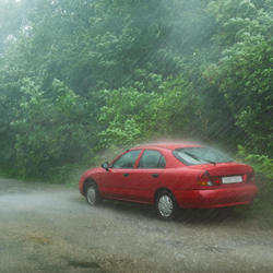 Podcast: Mùa mưa bão nên đậu xe như thế nào cho an toàn?