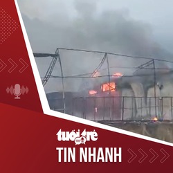 Tin tức tối 19-11: Cháy rụi xưởng sản xuất, thu mua nấm lớn nhất Lâm Đồng