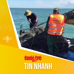 Tin tức sáng 26-12: Mở đợt cao điểm về chống khai thác hải sản bất hợp pháp