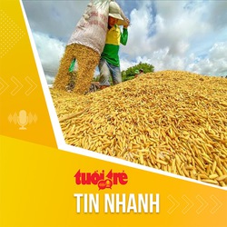 Tin tức sáng 1-2: Giá lúa gạo Việt Nam xuất khẩu tiếp tục tăng