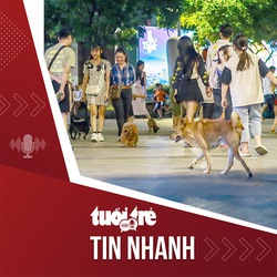 Tin tức tối 25-2: Chó thả rông xuất hiện tràn lan tại phố đi bộ Nguyễn Huệ ở TP.HCM