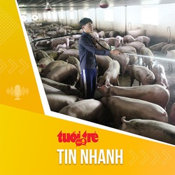 Tin tức sáng 3-2: Giá heo hơi tăng nhưng người nuôi vẫn bi quan