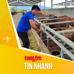 Tin tức sáng 11-3: Giá trị xuất khẩu các sản phẩm chăn nuôi Việt Nam tăng mạnh