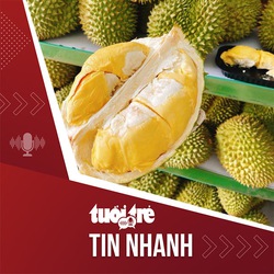 Tin tức tối 13-3: Giá sầu riêng giảm từ 200.000 đồng xuống còn 75.000 đồng/kg