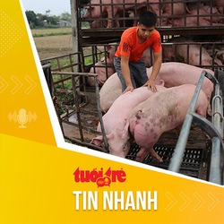 Tin tức sáng 25-3: Tiêu thụ thịt heo Việt Nam không ảnh hưởng khi Lào dừng nhập khẩu