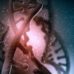 Podcast: 'DNA rác' ảnh hưởng gì đến bộ gene của chúng ta?