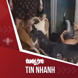 Tin tức tối 25-5: Vụ nuôi 82 con chó trong nhà, phạt 64 triệu đồng, yêu cầu giảm hoặc chuyển đàn