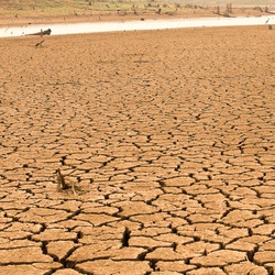 Podcast: 3.000 tỷ USD bị 'đốt cháy' trong năm nay bởi sức nóng của El Nino