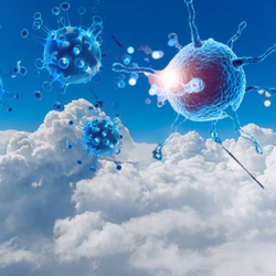Podcast: Hiện tượng lạ - vi khuẩn và gene kháng thuốc kháng sinh trong mây đến từ đâu?