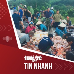 Tin tức tối 10-7: Dân giúp dân 'giải cứu' hàng ngàn con gà chết ngạt, trâu bị sét đánh chết