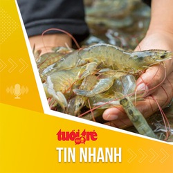 Tin tức sáng 23-7: Việt Nam trở thành nước cung cấp tôm đứng thứ hai thế giới