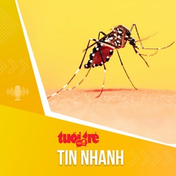 Tin tức sáng 5-7: Muỗi sinh sản nhanh, nguy cơ bùng phát sốt xuất huyết