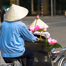 Món ngon không nên bỏ lỡ ở Đà Lạt, Vũng Tàu, Nha Trang, TP.HCM, Phú Quốc... dịp Tết này