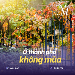 Truyện ngắn Mực Tím: Ở thành phố không mùa