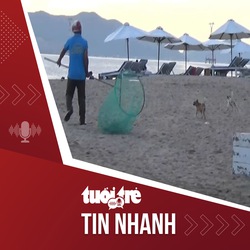 Tin tức tối 21-10: Bắt chó thả rông trên đường phố, bãi biển ở Nha Trang