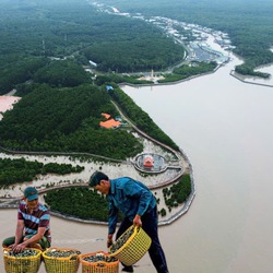 Về nơi duy nhất trên đất liền có thể ngắm mặt trời mọc ở Biển Đông, lặn ở Biển Tây