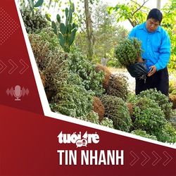 Tin tức tối 18-11: Người cung cấp giống cúc mâm xôi xin lỗi bà con Bến Tre