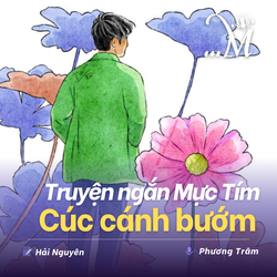 Truyện ngắn Mực Tím: Cúc cánh bướm