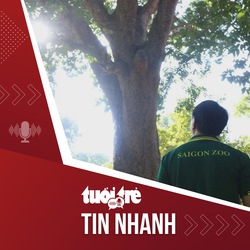 Tin tức tối 29-12: Thảo cầm viên có 8 cây cổ thụ được công nhận là cây di sản