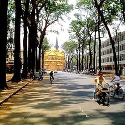 Đường phố Sài Gòn - TP.HCM những ký ức thân thương | Kỳ 1: Con đường Duy Tân cây dài bóng mát