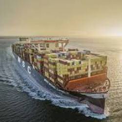 Cảng trung chuyển quốc tế Cần Giờ lọt vào 'mắt xanh' hãng tàu lớn nhất thế giới