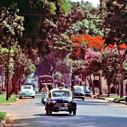 Đường phố Sài Gòn - TP.HCM những ký ức thân thương | Kỳ 6: Nguyễn Đình Chiểu - con đường hai sắc màu thành phố