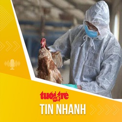 Tin tức sáng 11-4: Không nên chủ quan dù nguy cơ bùng phát dịch cúm A (H9N2) trên người rất thấp