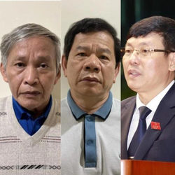 3 chủ tịch, cựu chủ tịch tỉnh liên quan Tập đoàn Phúc Sơn bị khai trừ khỏi Đảng