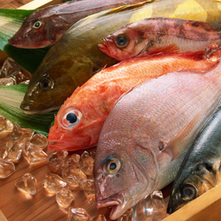 Lợi ích bất ngờ khi ăn cá thường xuyên, nhưng cần lưu ý vài điều khi ăn