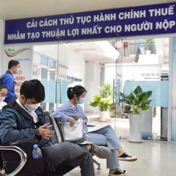 TP.HCM tiếp tục áp dụng bảng giá đất hiện hành để giải tỏa ách tắc hồ sơ thuế