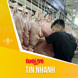 Tin tức sáng 23-9: Giá thịt heo cả nước đồng loạt tăng