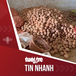 Tin tức tối 5-9: Chủ vựa ở Đà Lạt nói trộn đất đỏ vào khoai tây Trung Quốc cho giống hàng... Quảng Đông